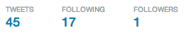 Twitter Account with One Follower